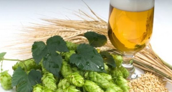 Beer2