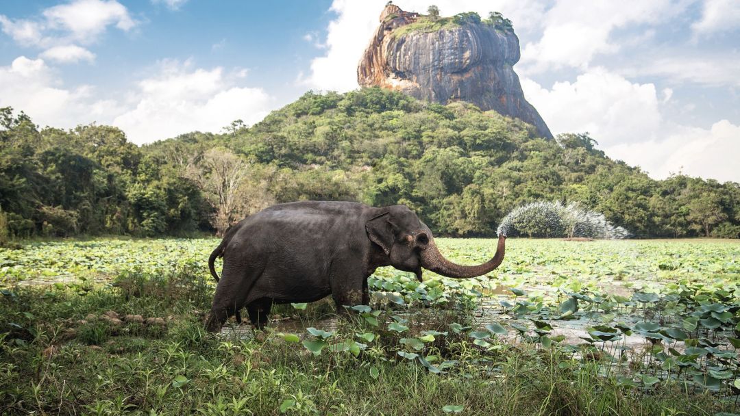 Sigiriya